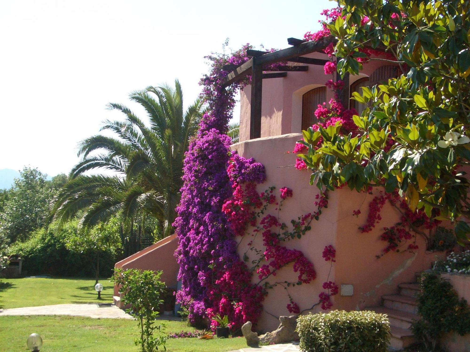 Bed & Breakfast Dessole Olbia Bagian luar foto