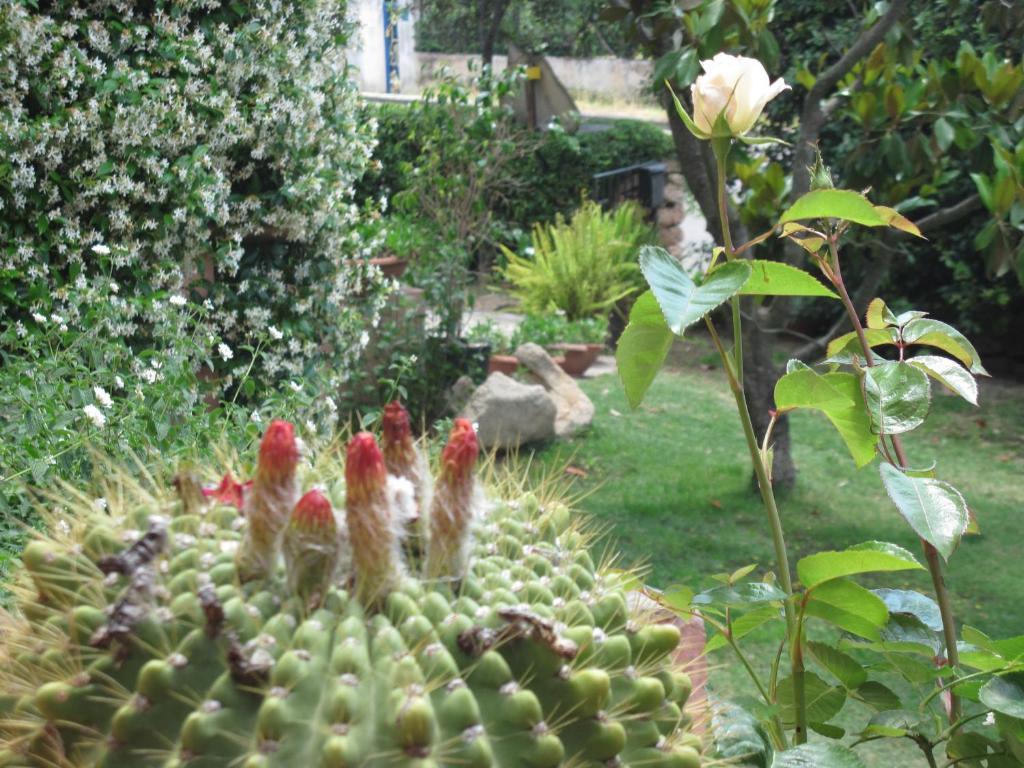 Bed & Breakfast Dessole Olbia Bagian luar foto